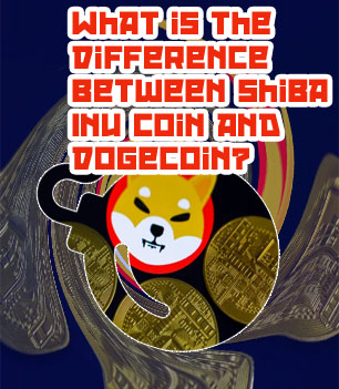 Crypto shiba inu coin price