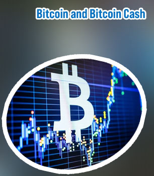 Trader bitcoin